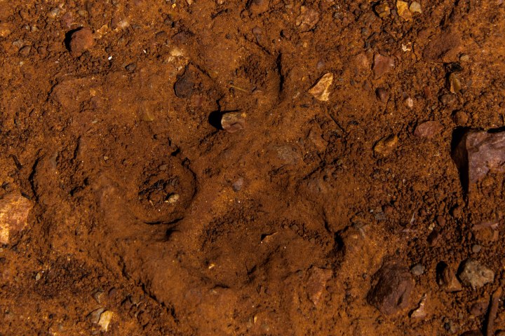 SedonaBlog (10 of 12)