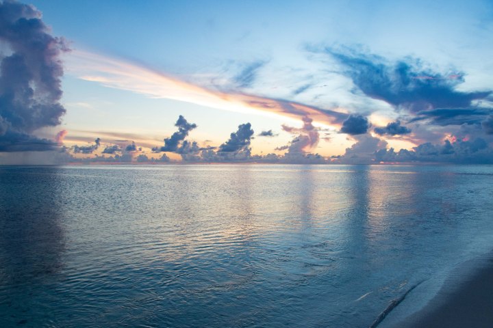 Tahiti-0105 (5 of 5)